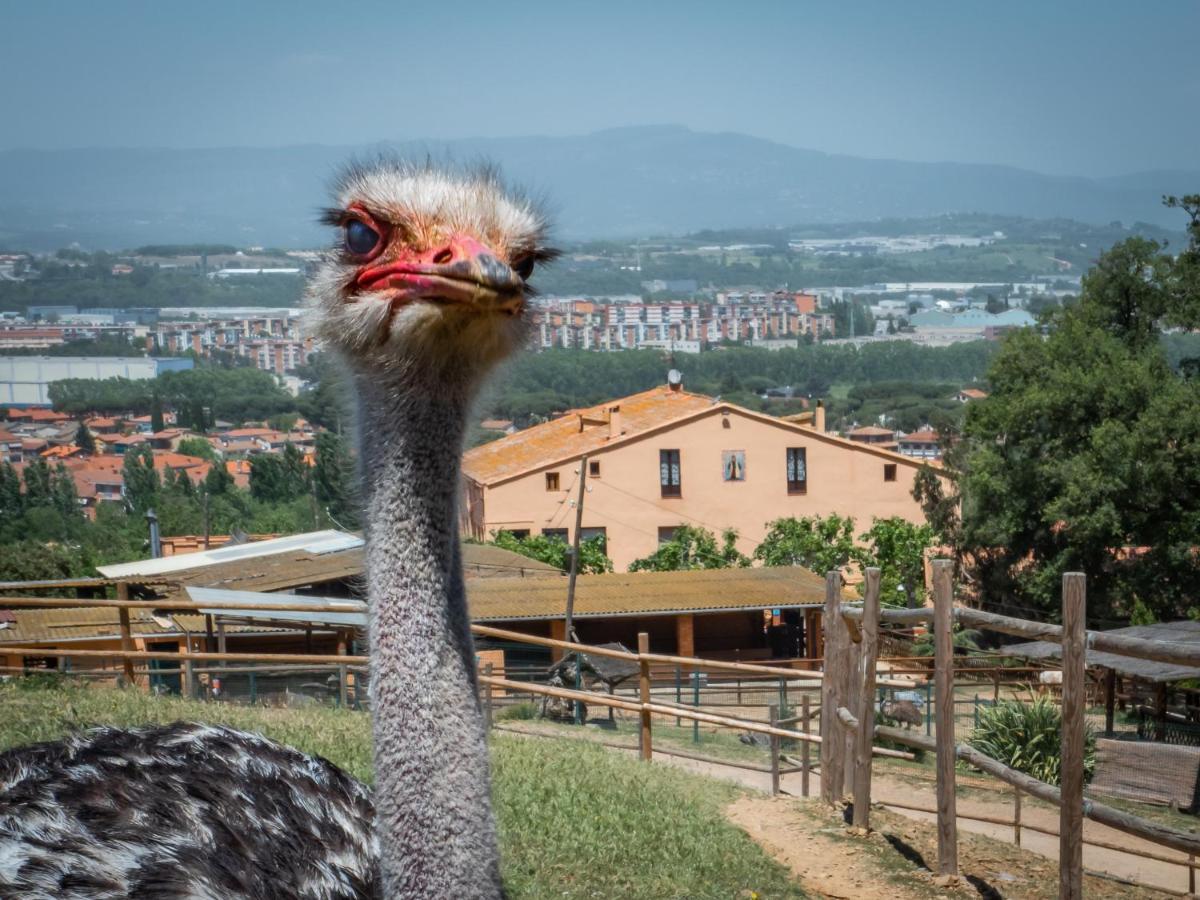 Masia Can Sala Hotel Montornés del Vallés Екстериор снимка